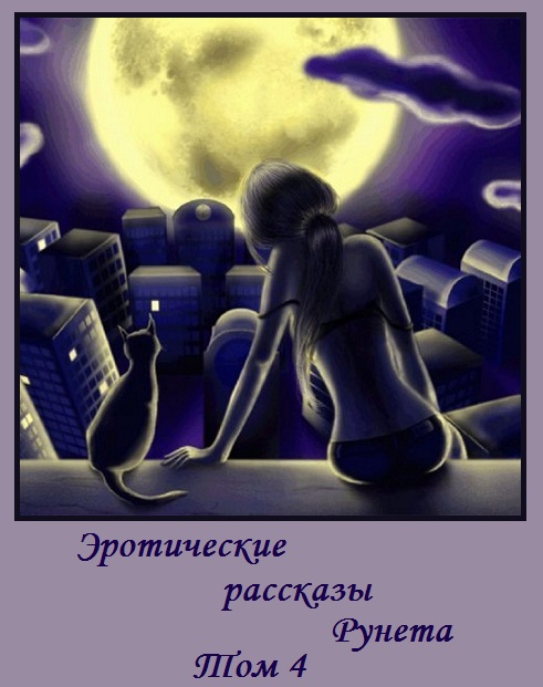 обложка книги Эротические рассказы Рунета - Том 4