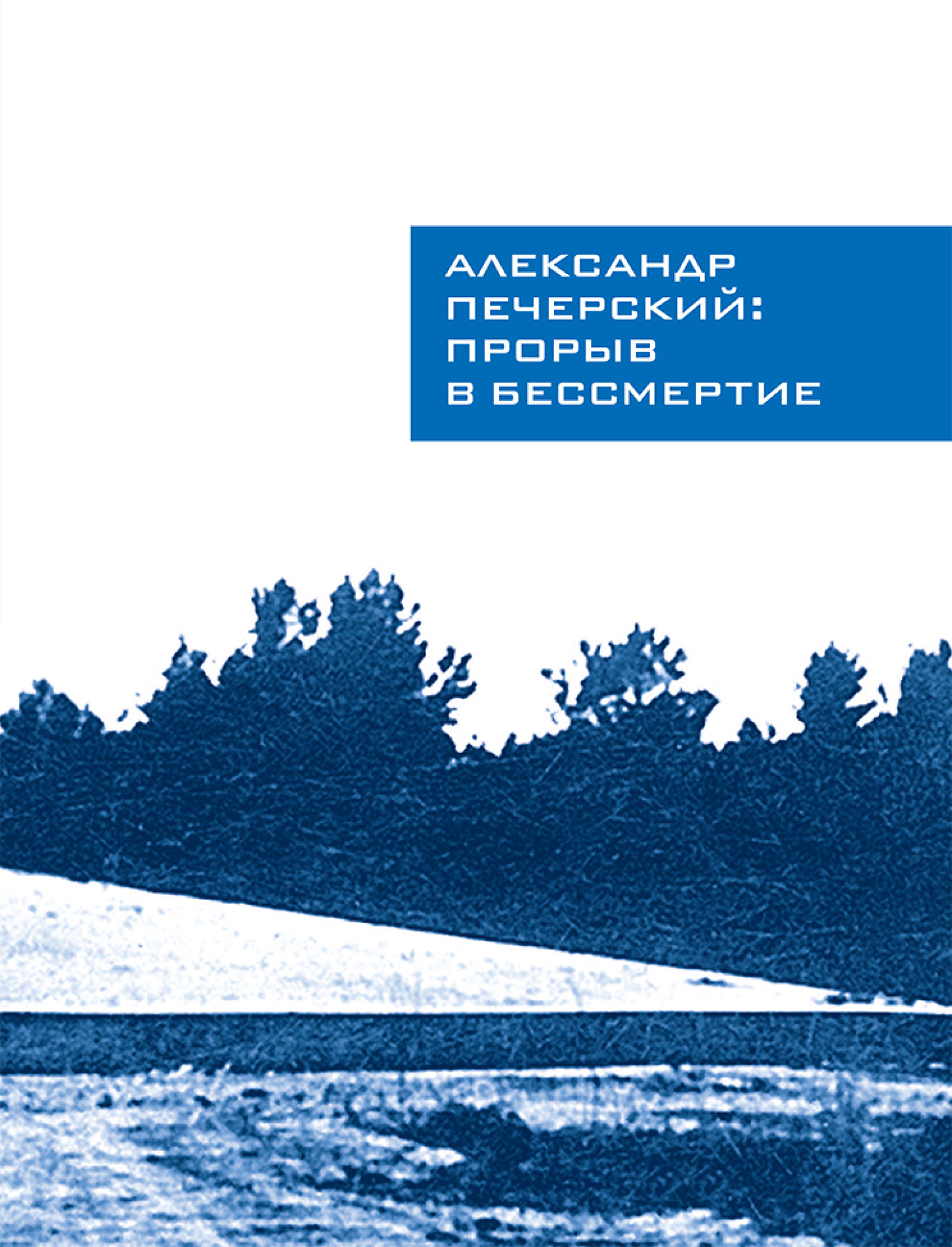 обложка книги Александр Печерский: Прорыв в бессмертие