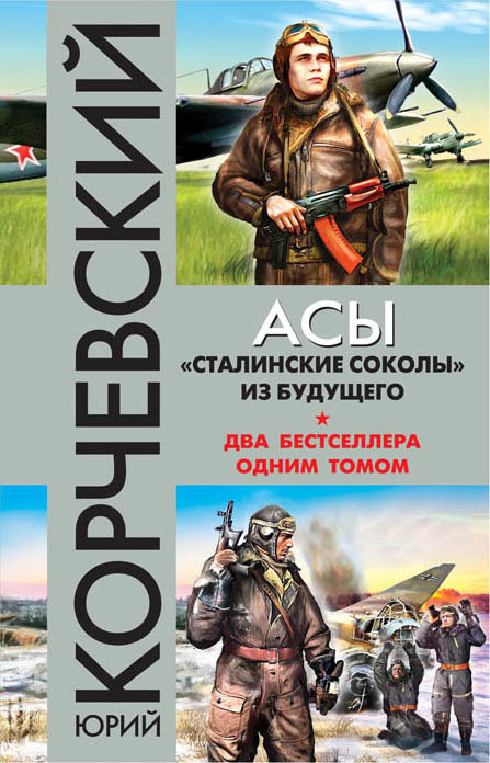 обложка книги Асы. «Сталинские соколы» из будущего