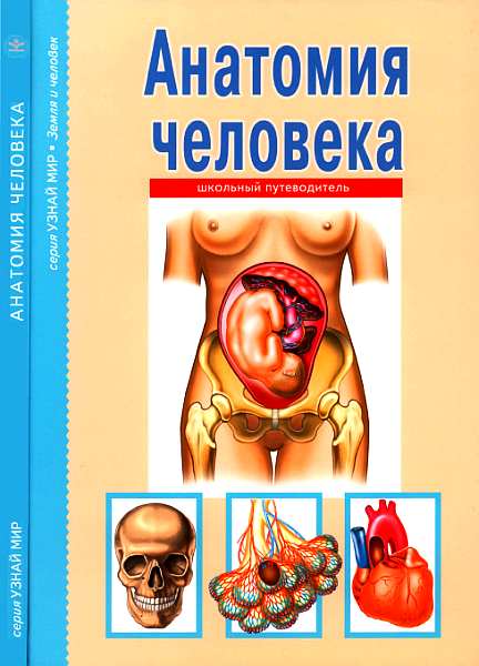 обложка книги Анатомия человека